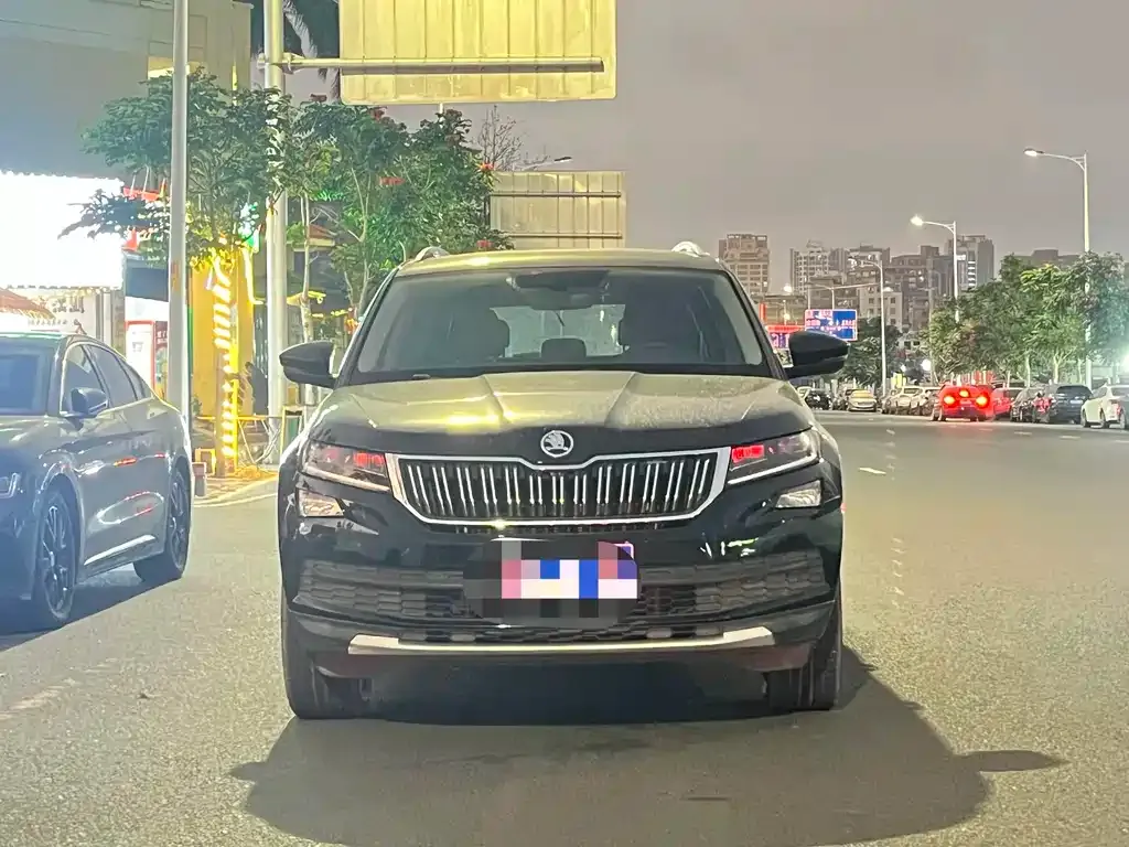 Skoda Kodiaq — фото 8