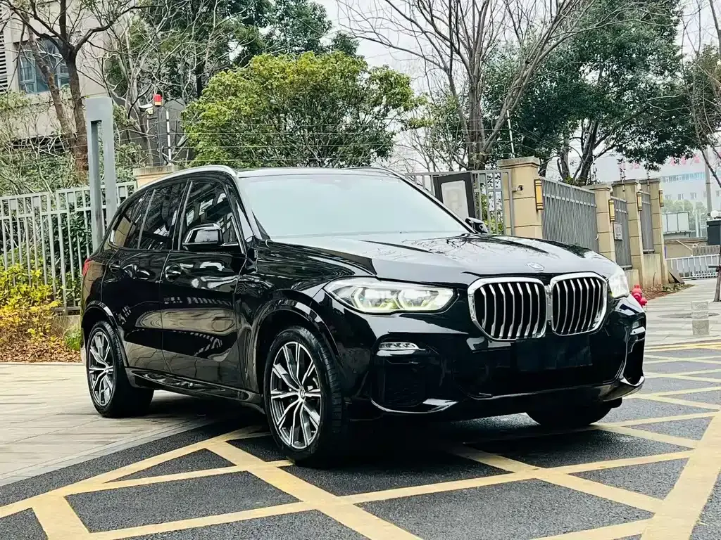 BMW X5 (Import) — фото 9