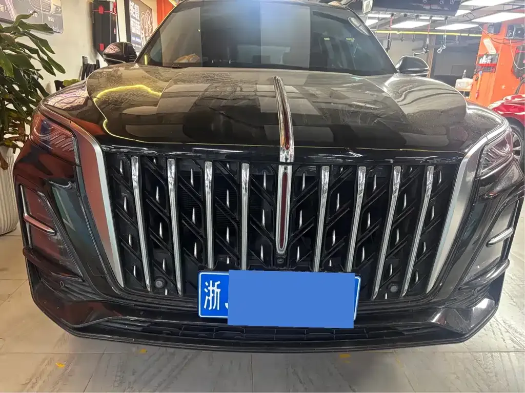 Hongqi HS5 — фото 10