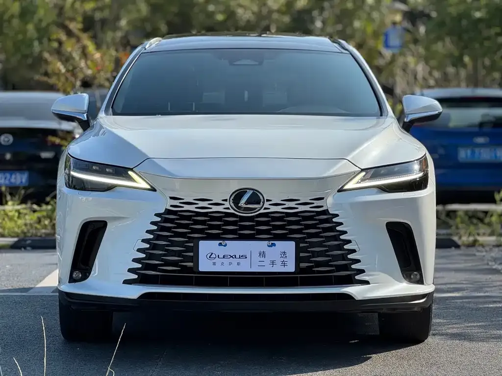 Lexus RX — фото 9