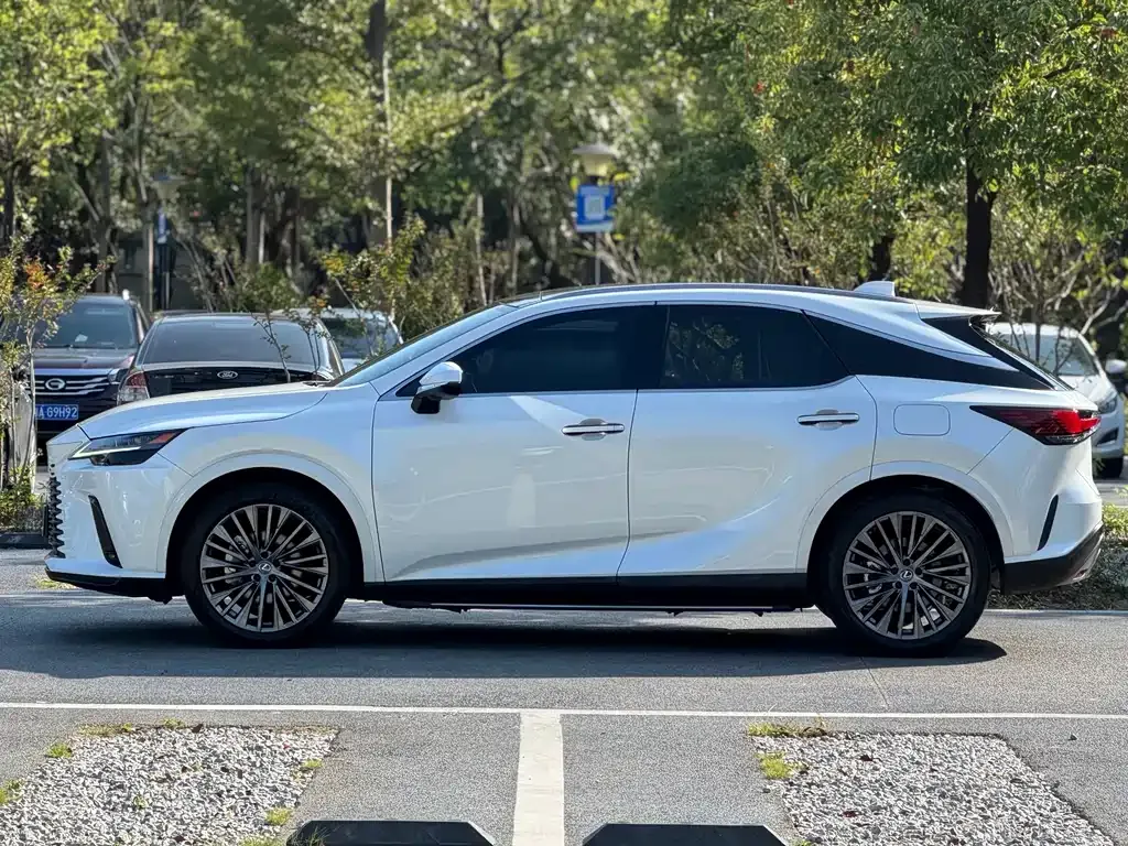 Lexus RX — фото 10