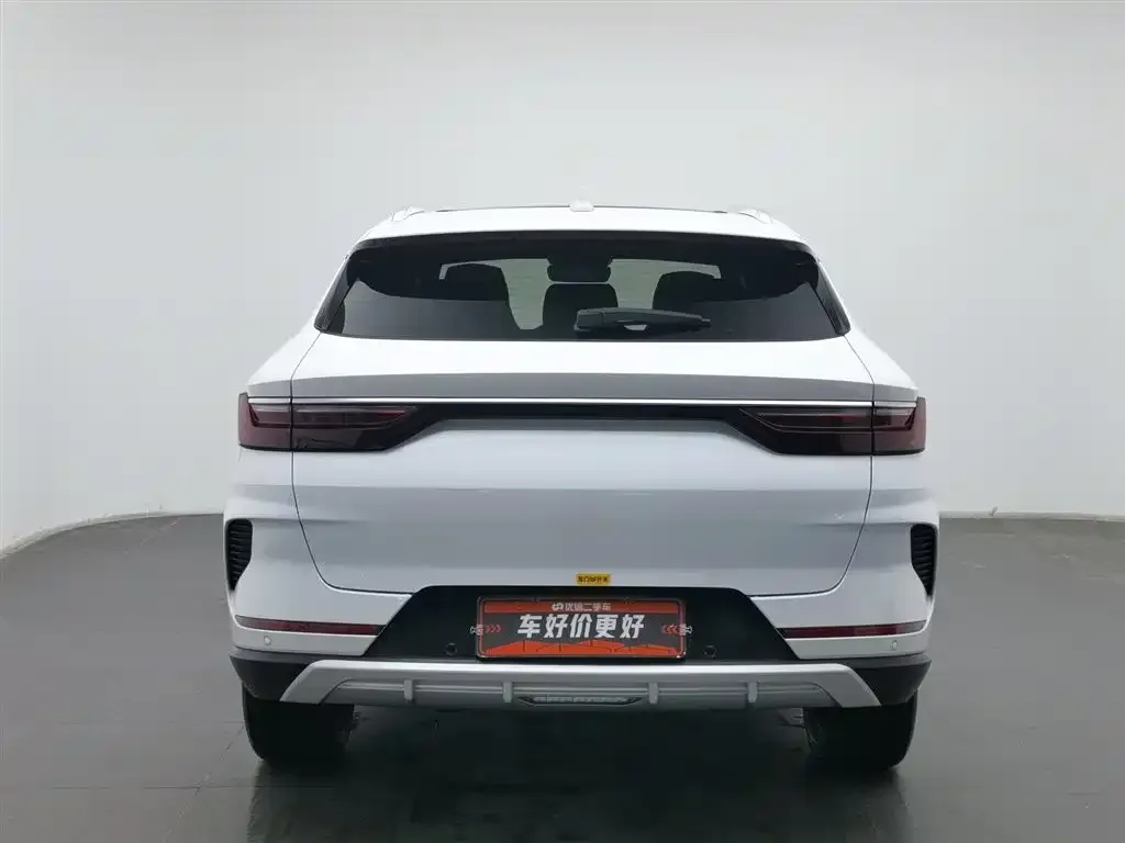 BYD PLUS New Energy — фото 2
