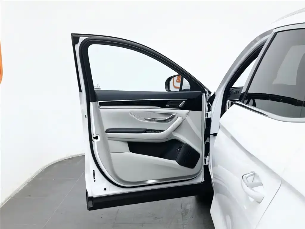 BYD PLUS New Energy — фото 3