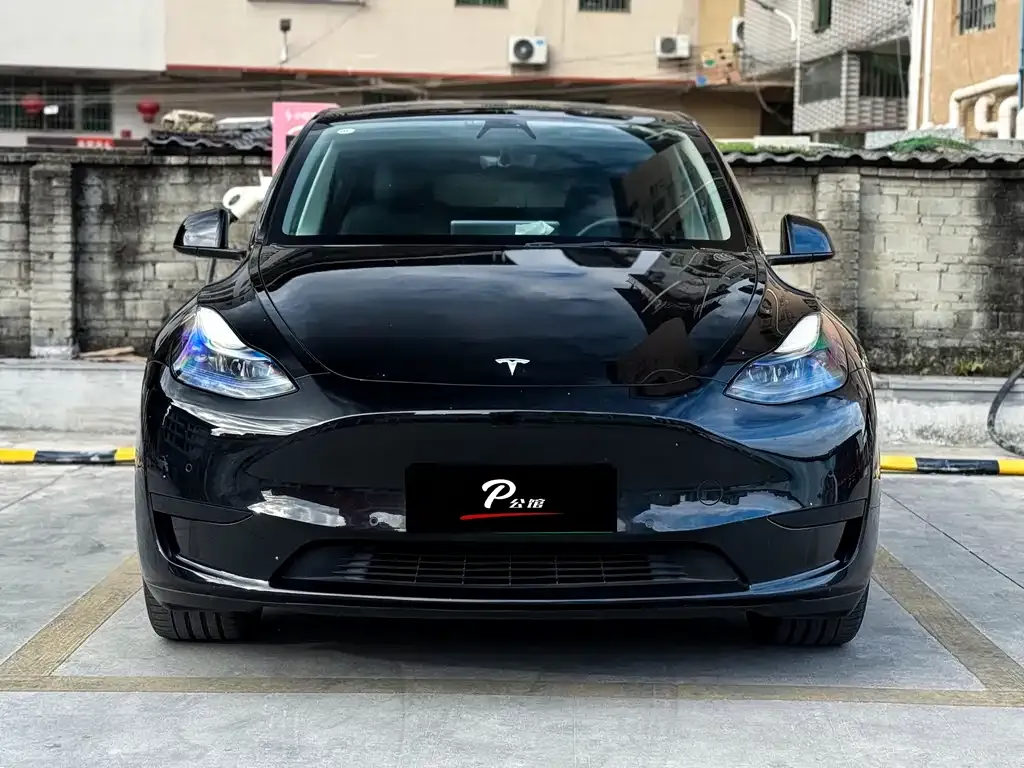 Tesla Model Y — фото 9