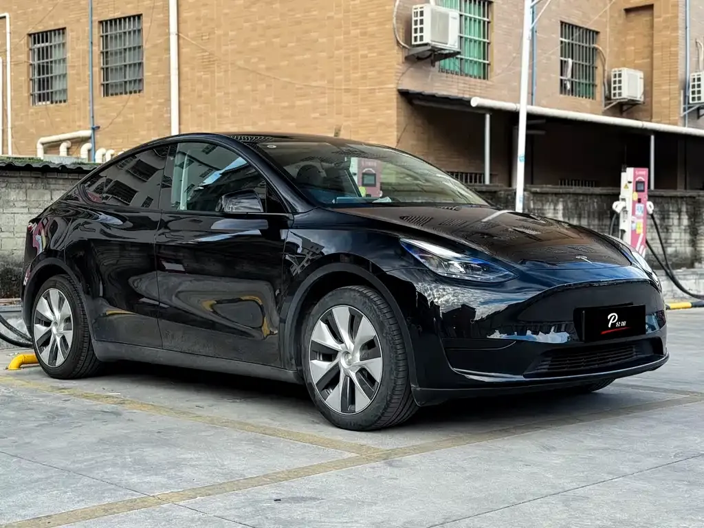 Tesla Model Y — фото 10