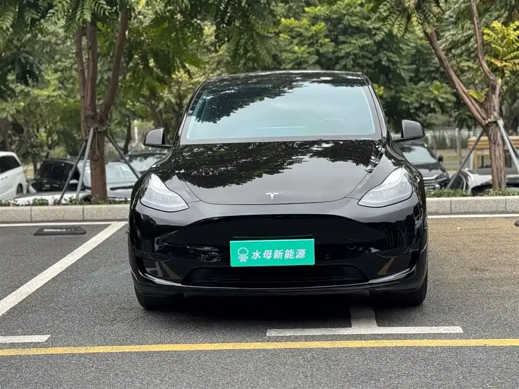 Tesla Model Y — фото 8