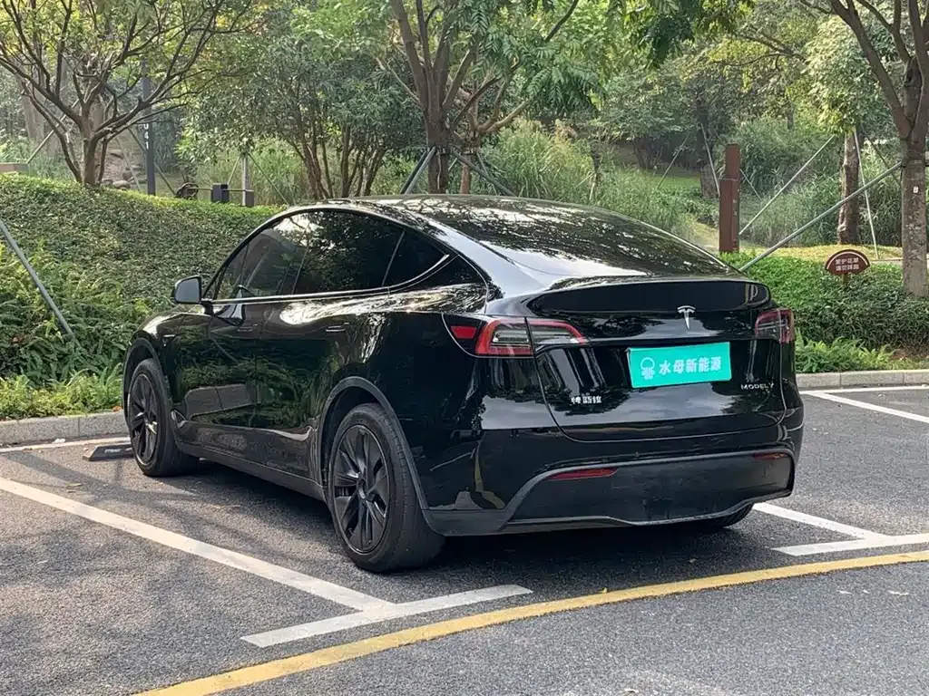 Tesla Model Y — фото 7