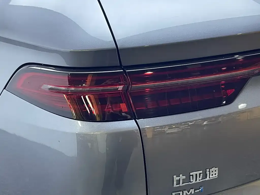 BYD Pro New Energy — фото 2