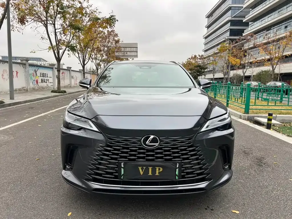 Lexus RX New Energy — фото 7
