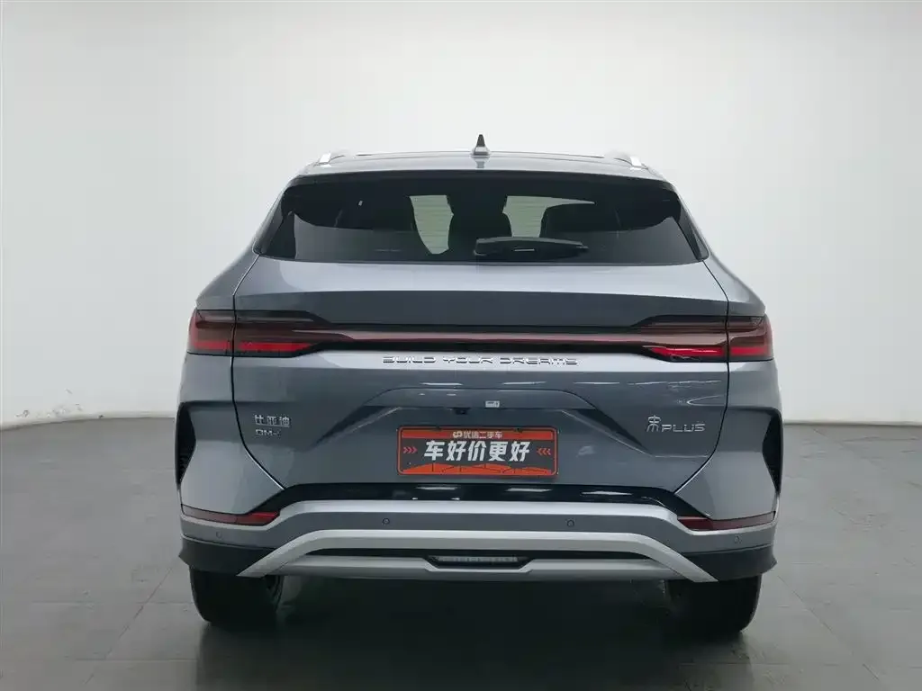 BYD PLUS New Energy — фото 2