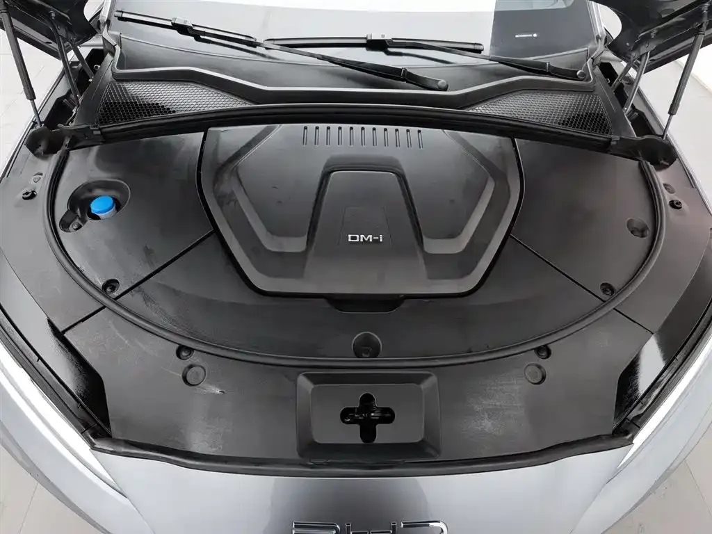 BYD PLUS New Energy — фото 10