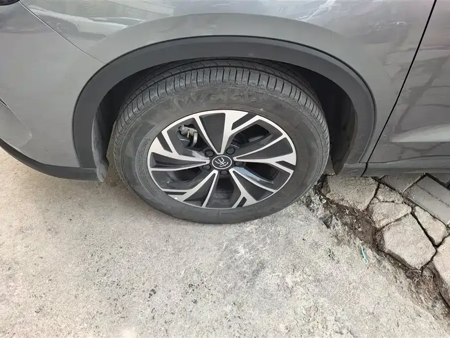 BYD Pro New Energy — фото 9