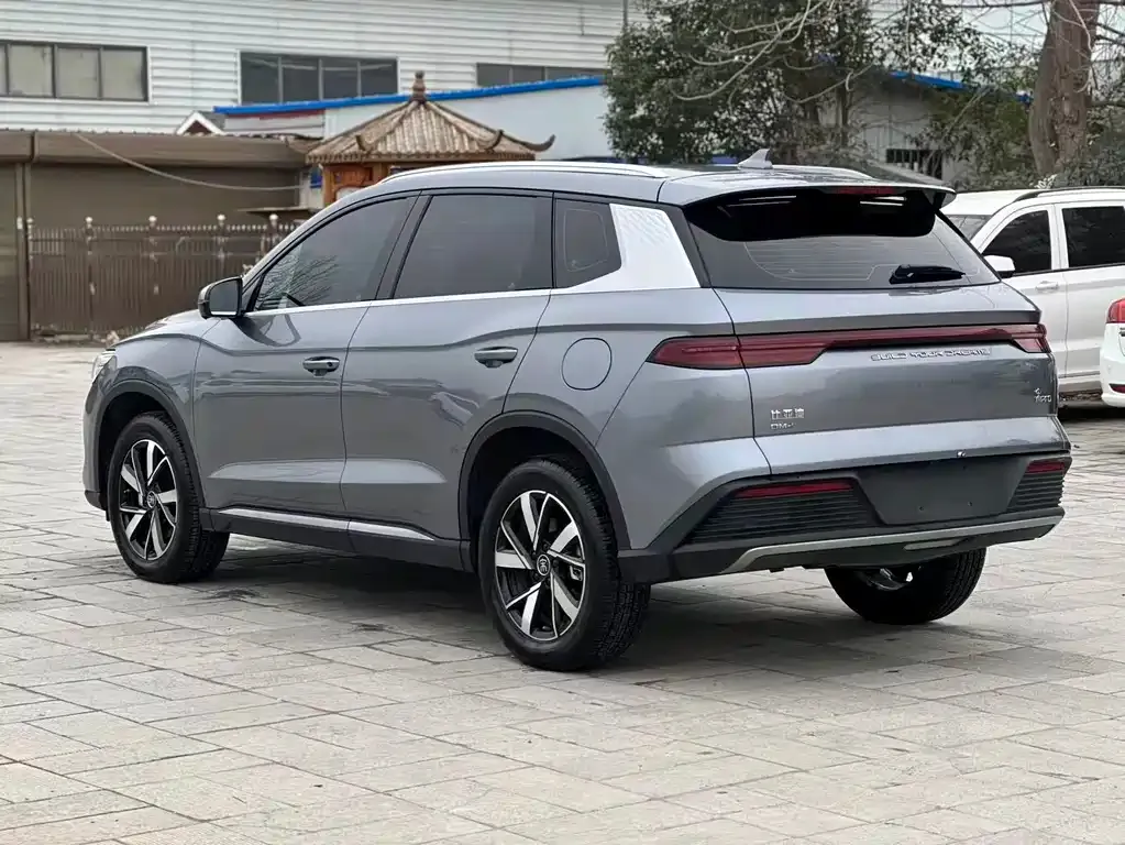 BYD Pro New Energy — фото 9