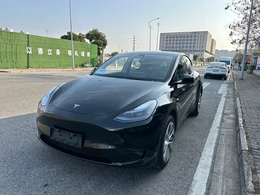 Tesla Model Y — фото 1