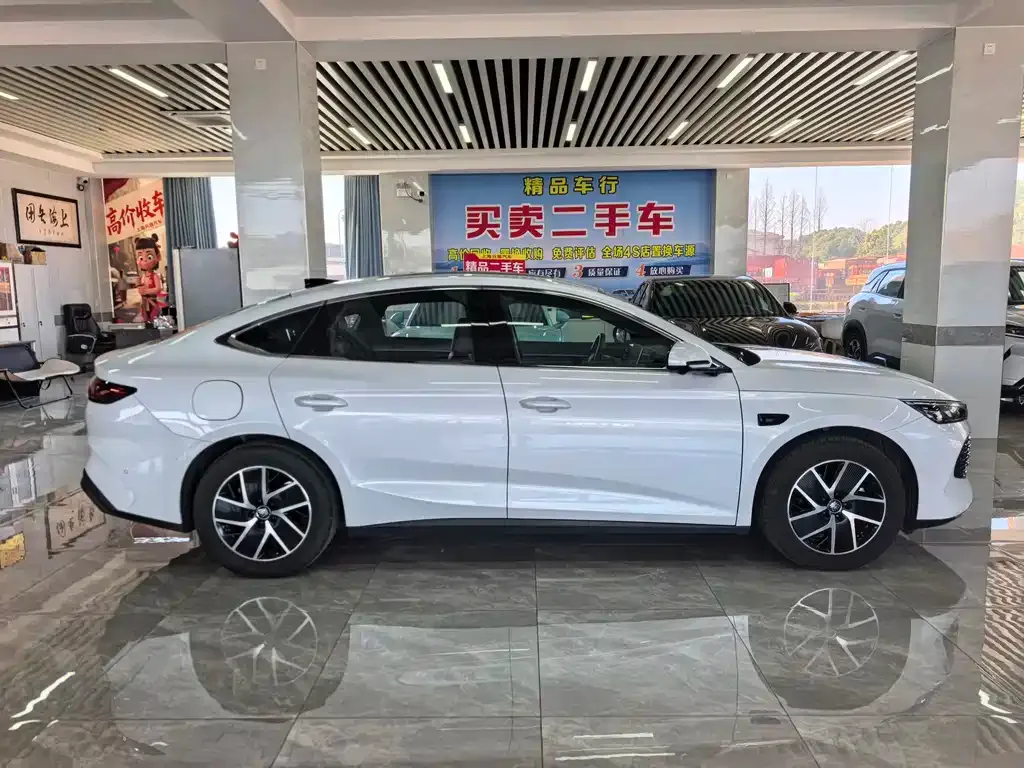 BYD Qin L — фото 10