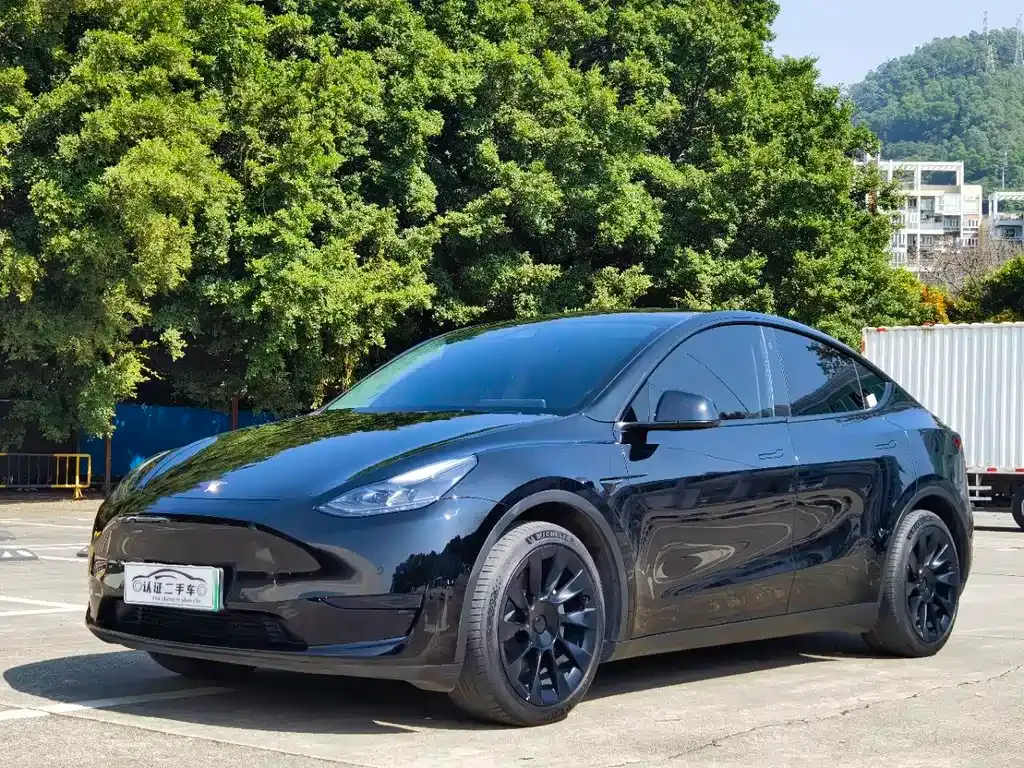 Tesla Model Y — фото 1