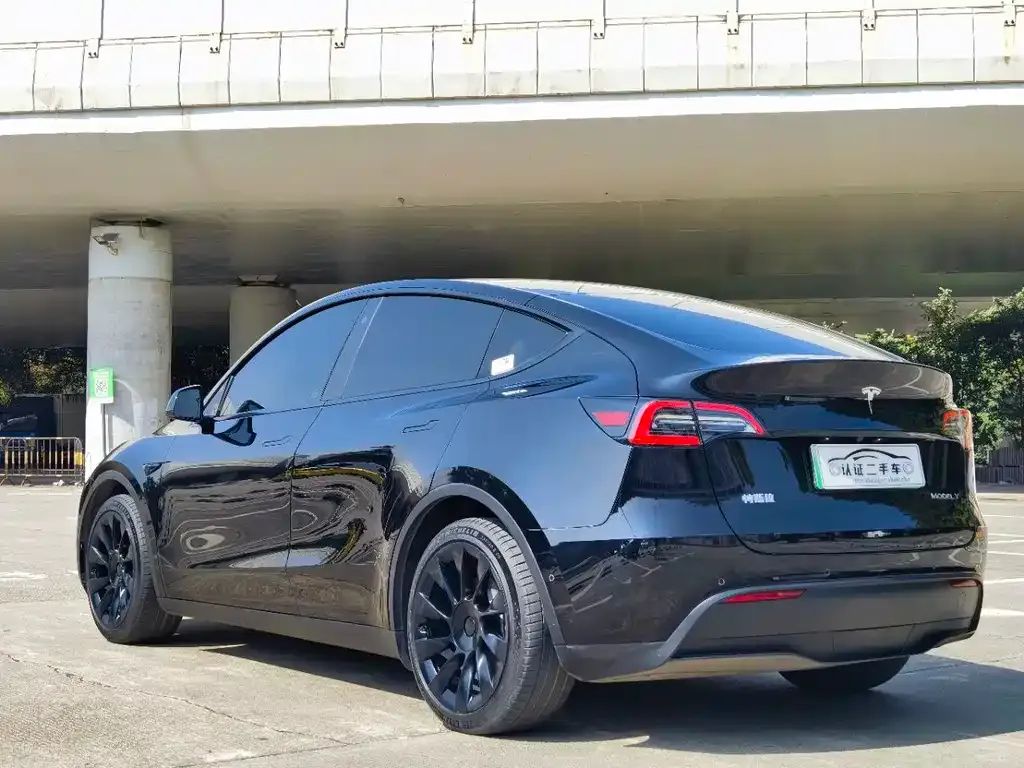 Tesla Model Y — фото 8