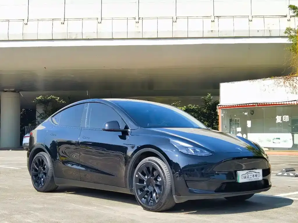 Tesla Model Y — фото 4