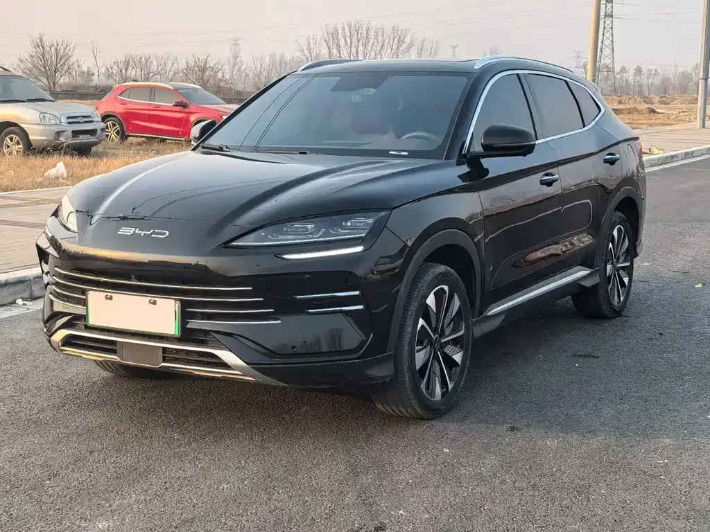 BYD PLUS New Energy — фото 1