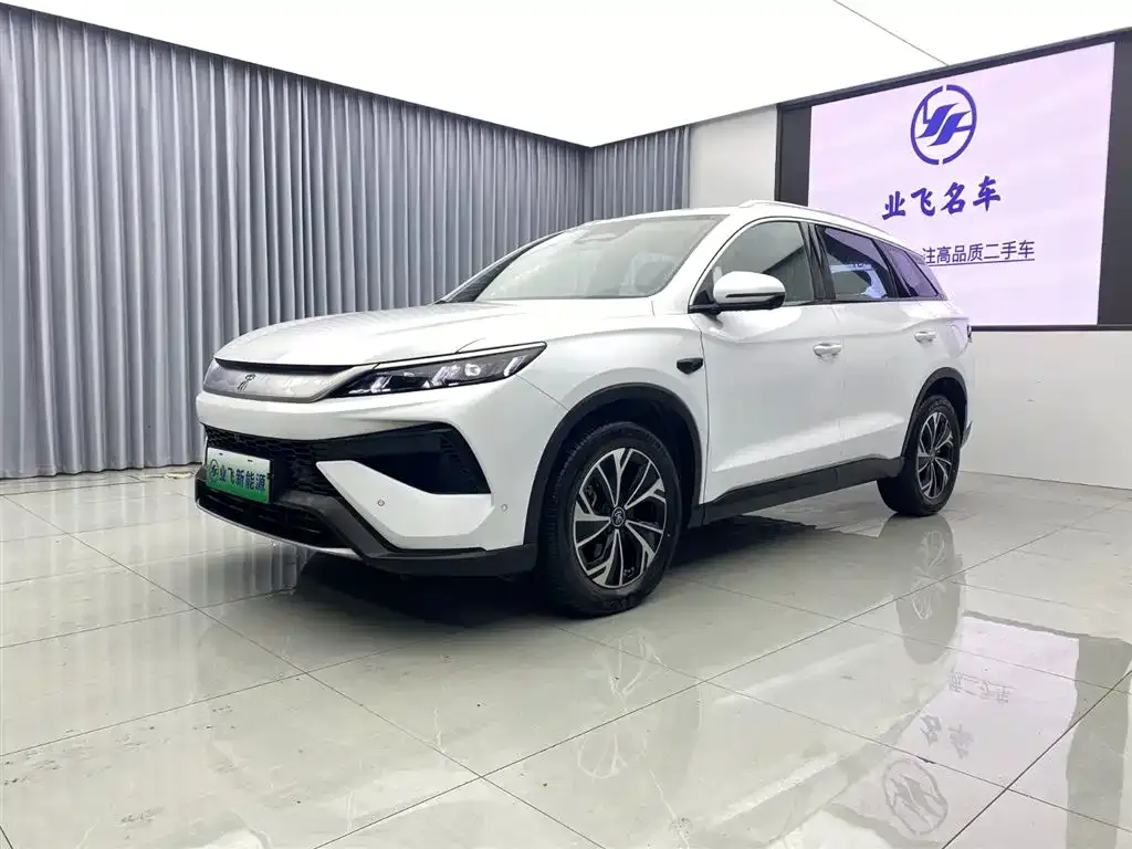 BYD Pro New Energy — фото 1