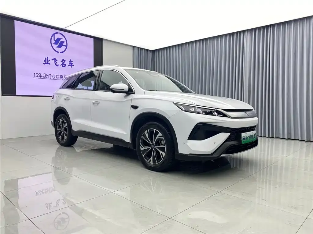 BYD Pro New Energy — фото 6