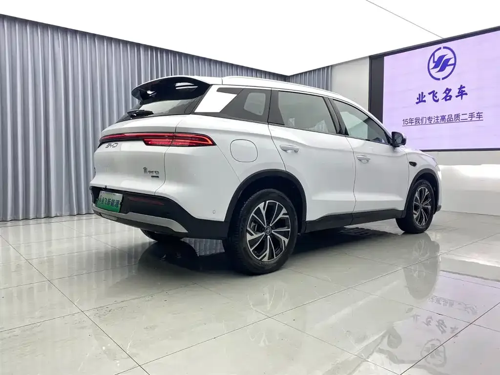 BYD Pro New Energy — фото 7