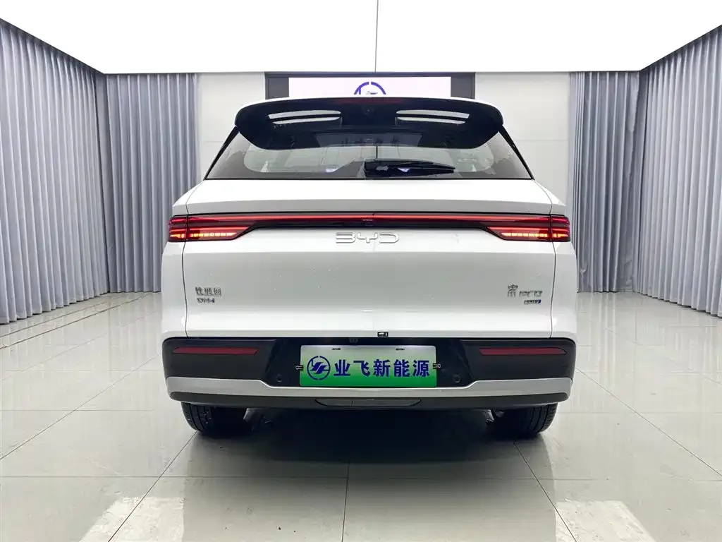 BYD Pro New Energy — фото 9