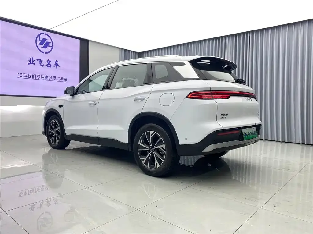 BYD Pro New Energy — фото 2