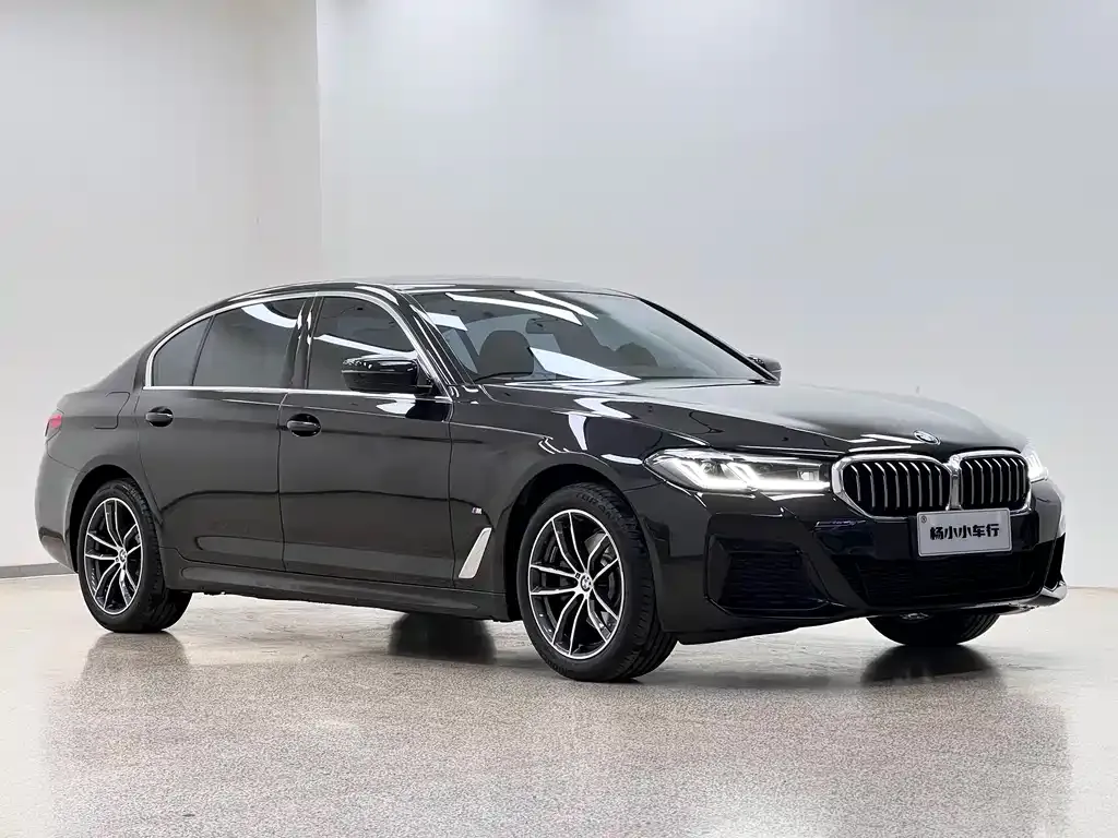 BMW 5 Series — фото 3