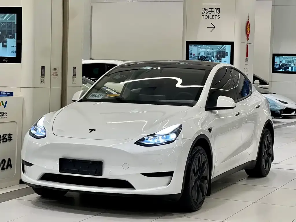 Tesla Model Y — фото 1