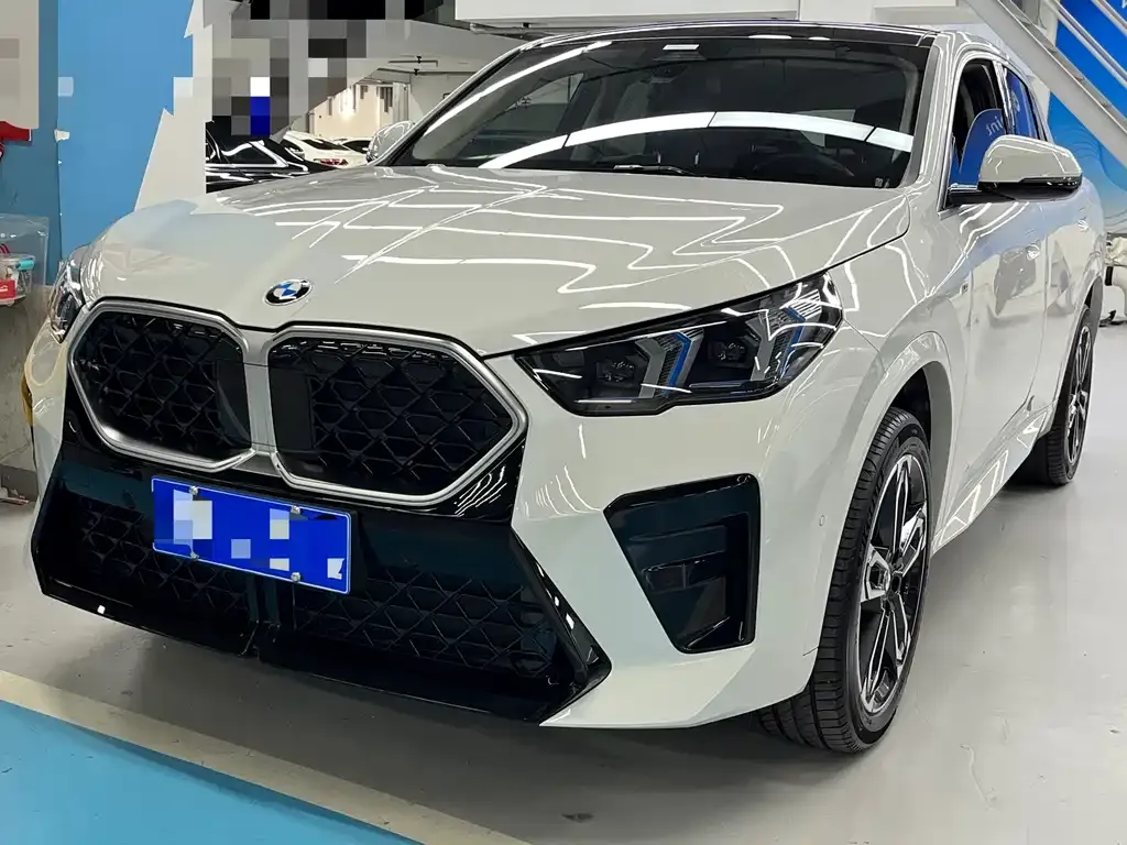 BMW X2 (Import) — фото 1