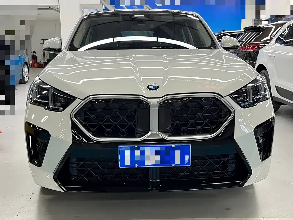 BMW X2 (Import) — фото 4