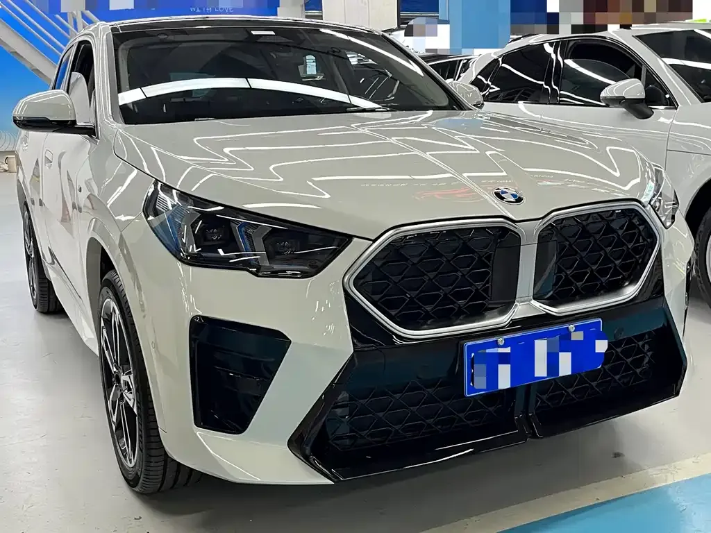 BMW X2 (Import) — фото 9