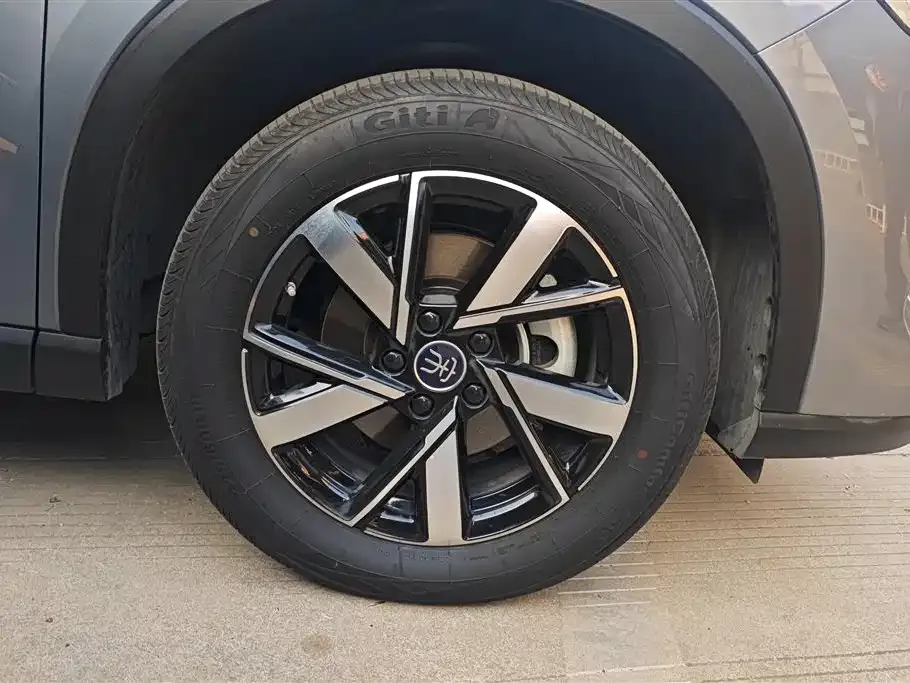BYD Pro New Energy — фото 8