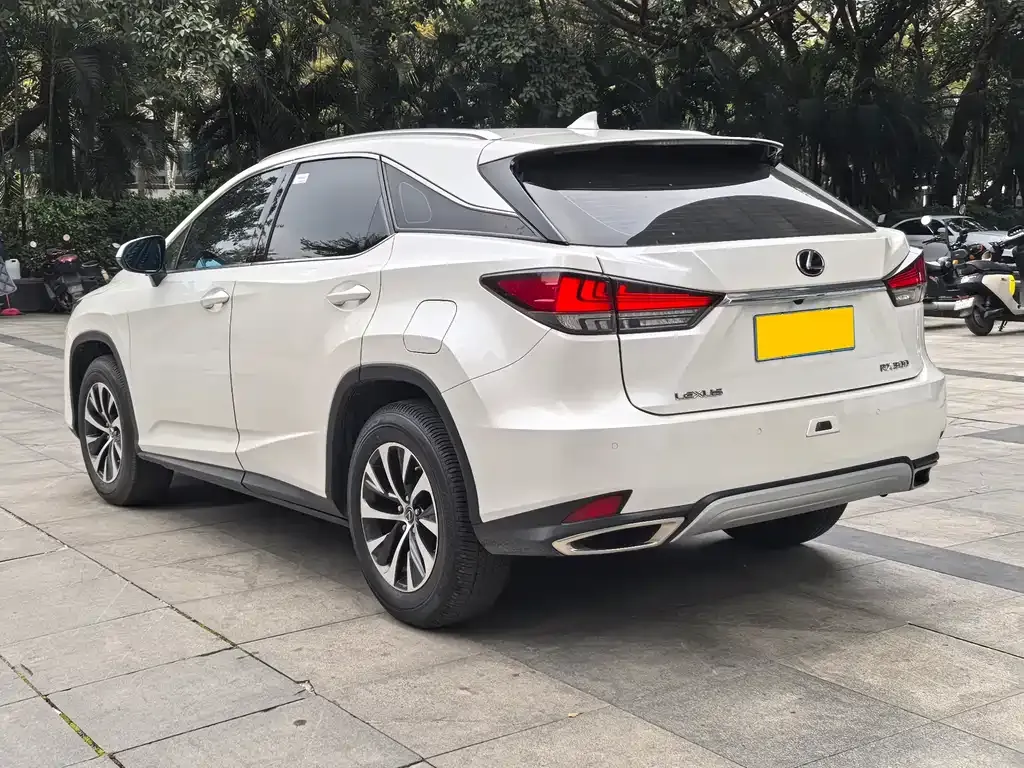 Lexus RX — фото 6
