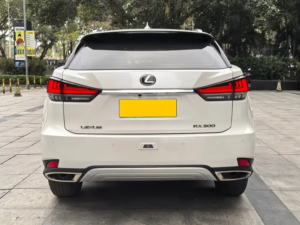 Lexus RX — фото 5