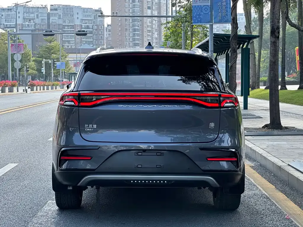 BYD Tang New Energy — фото 3