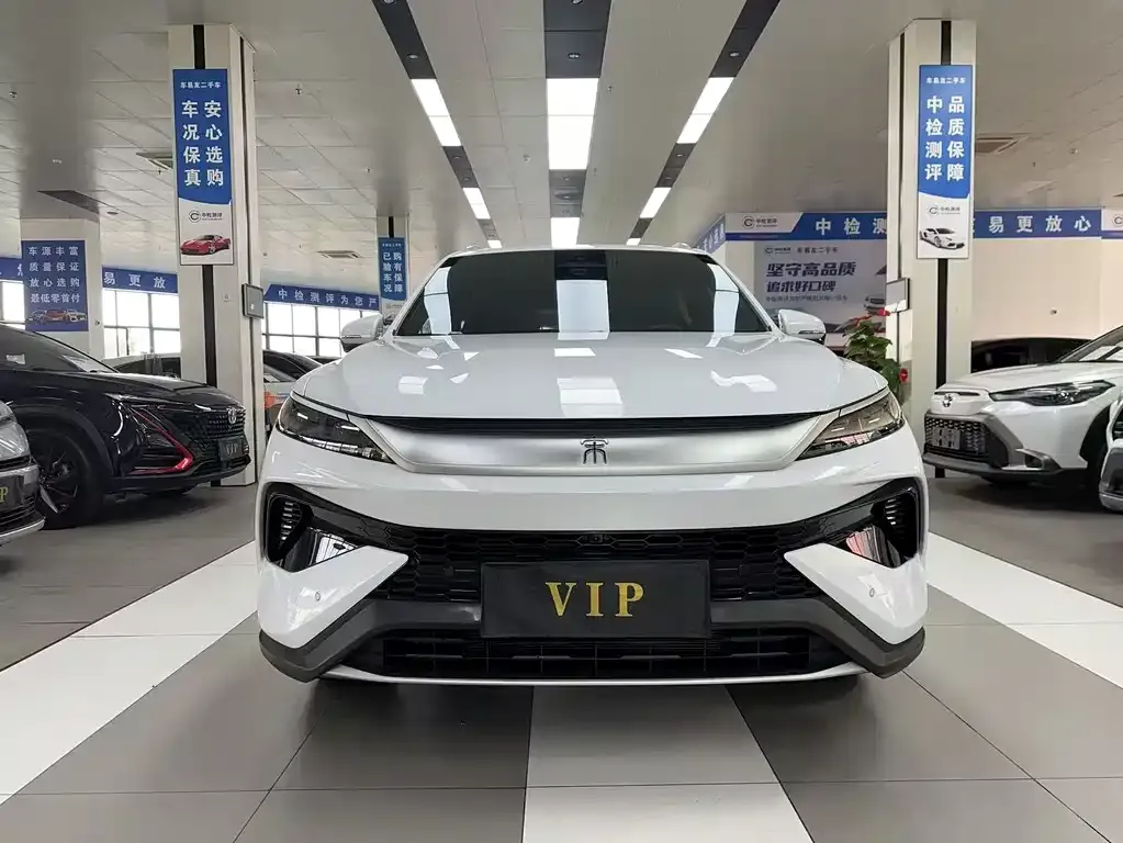 BYD Pro New Energy — фото 3