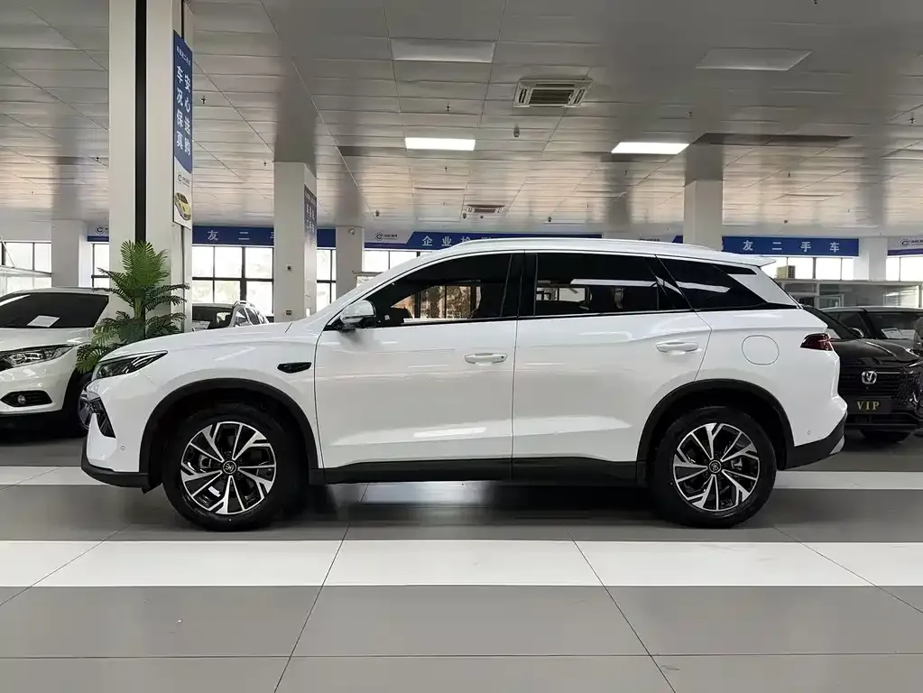 BYD Pro New Energy — фото 5