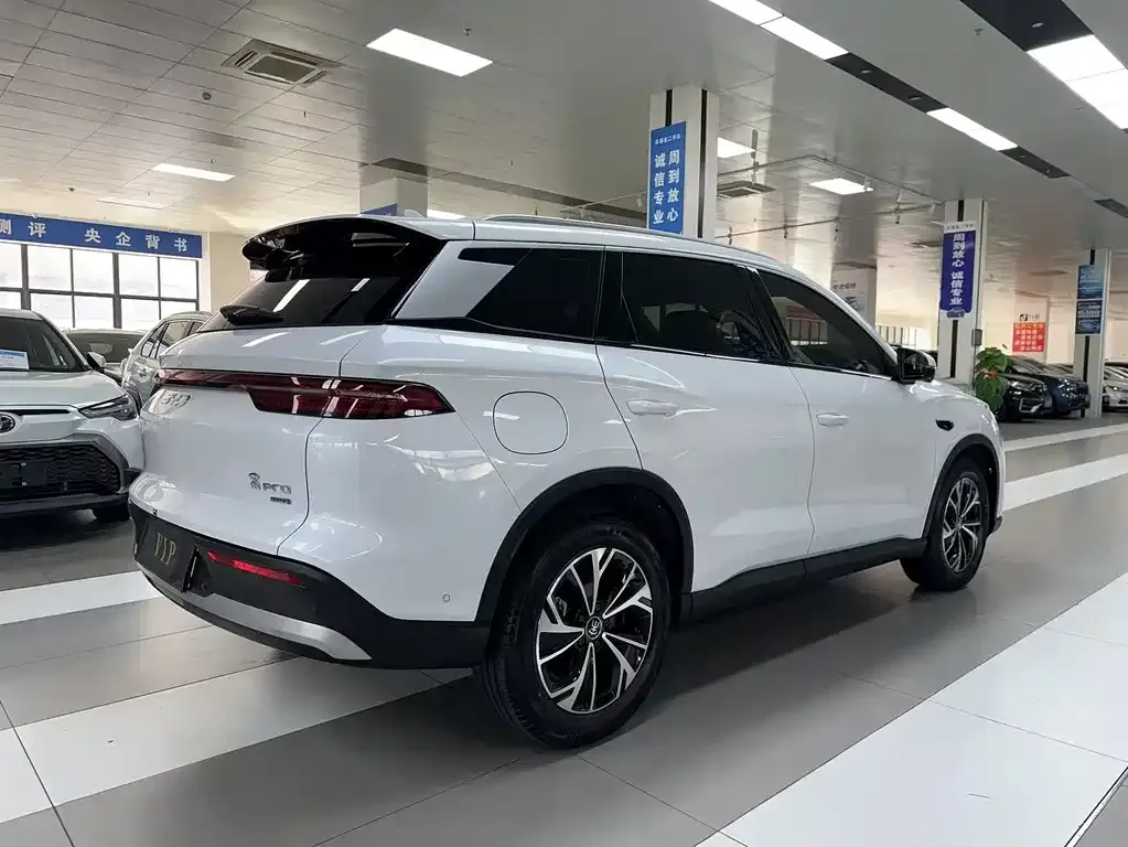 BYD Pro New Energy — фото 7