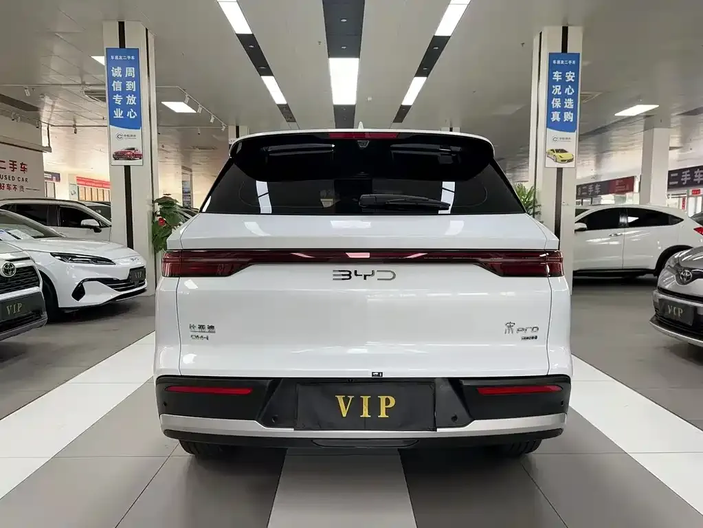 BYD Pro New Energy — фото 8