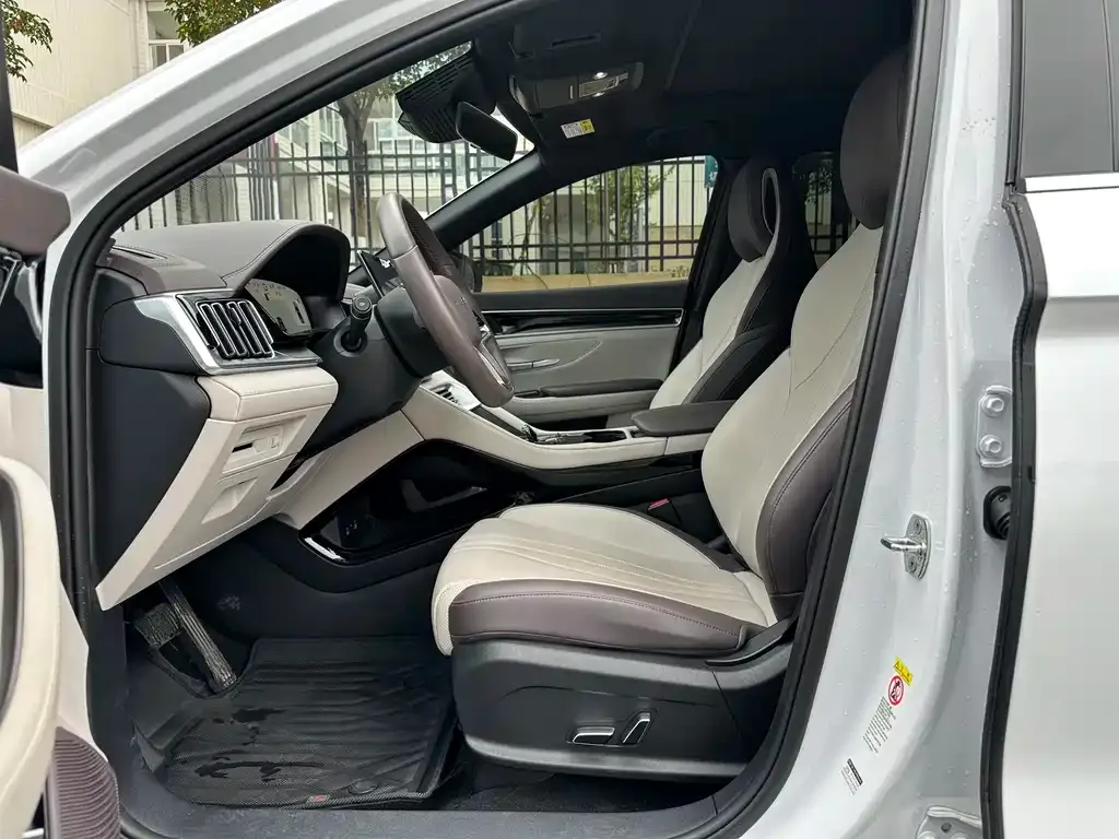 BYD PLUS New Energy — фото 4