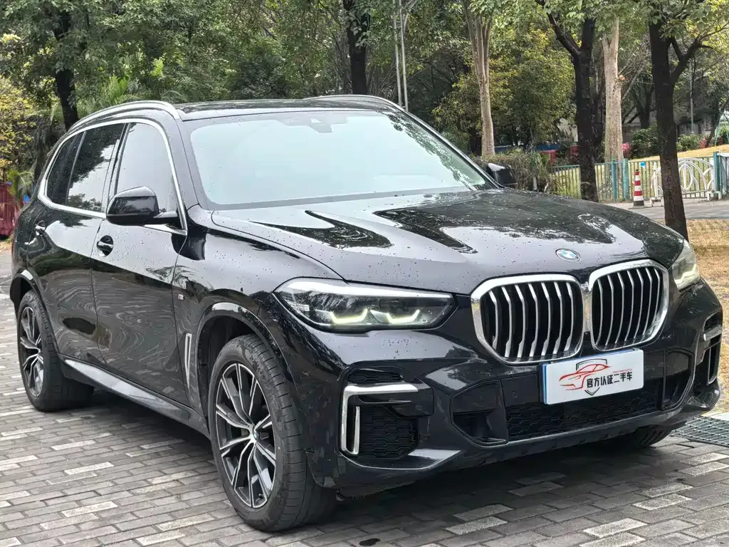 BMW X5 — фото 10