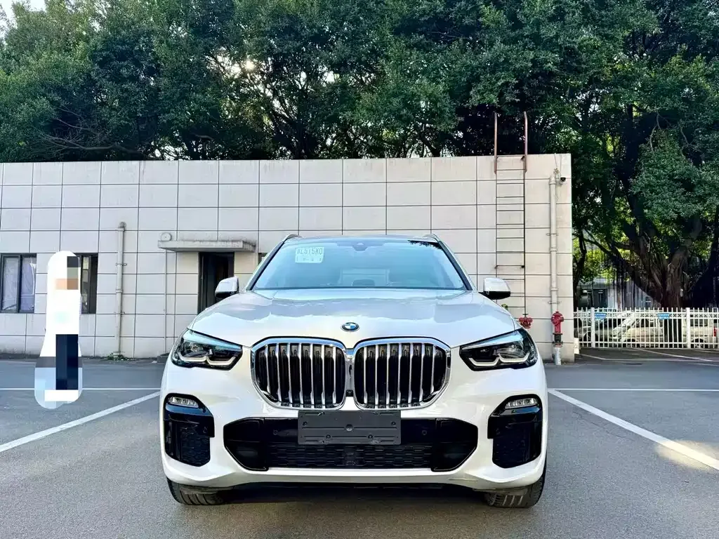 BMW X5 (Import) — фото 8