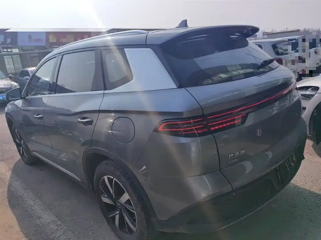 BYD Pro New Energy — фото 6