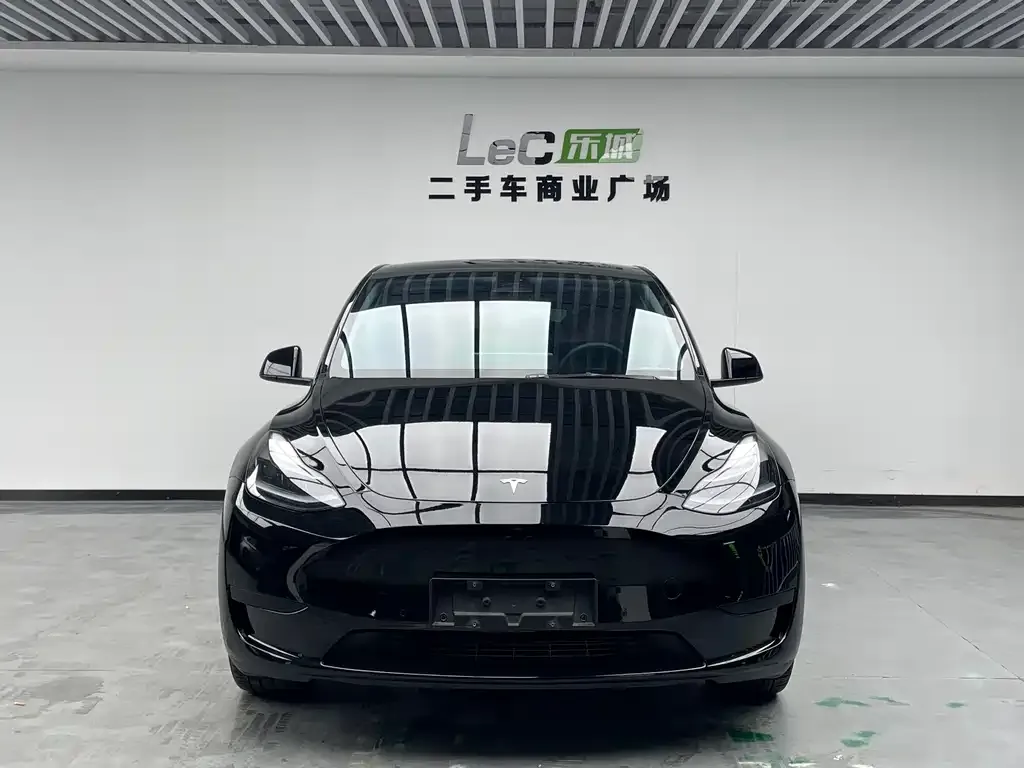 Tesla Model Y — фото 9
