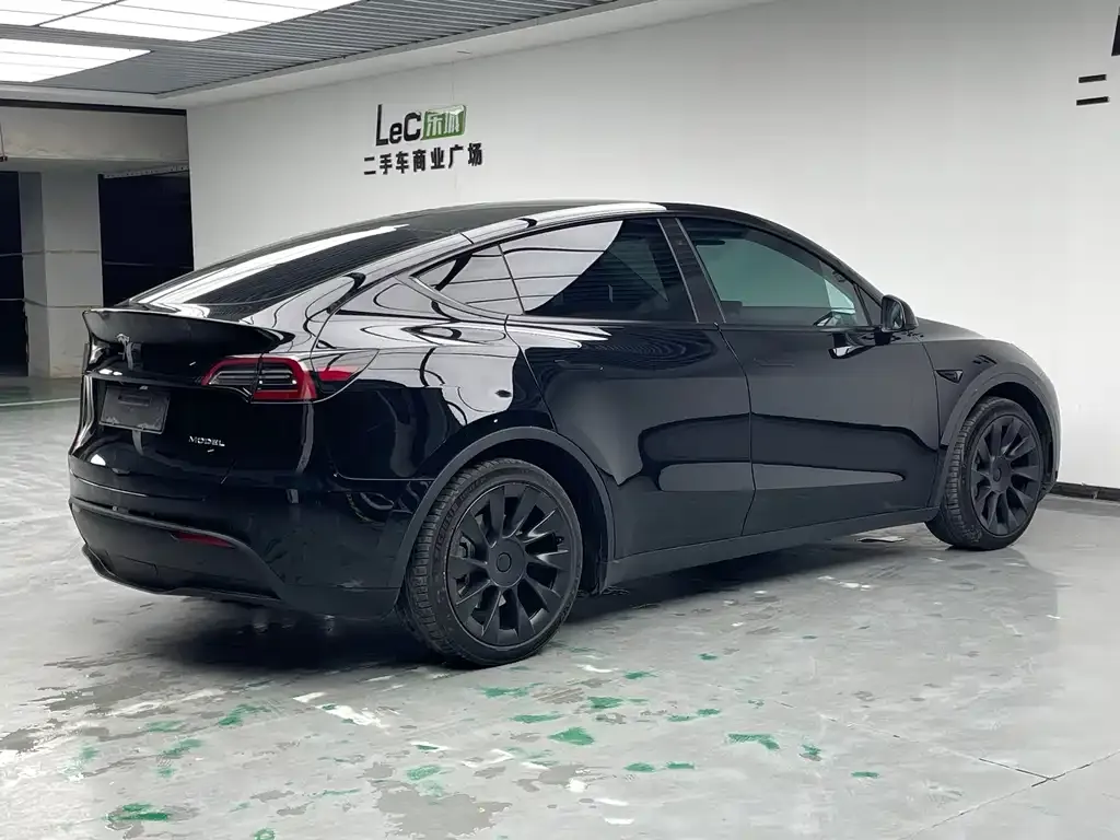 Tesla Model Y — фото 10