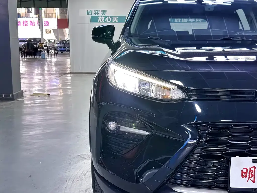 Toyota Wildlander — фото 6