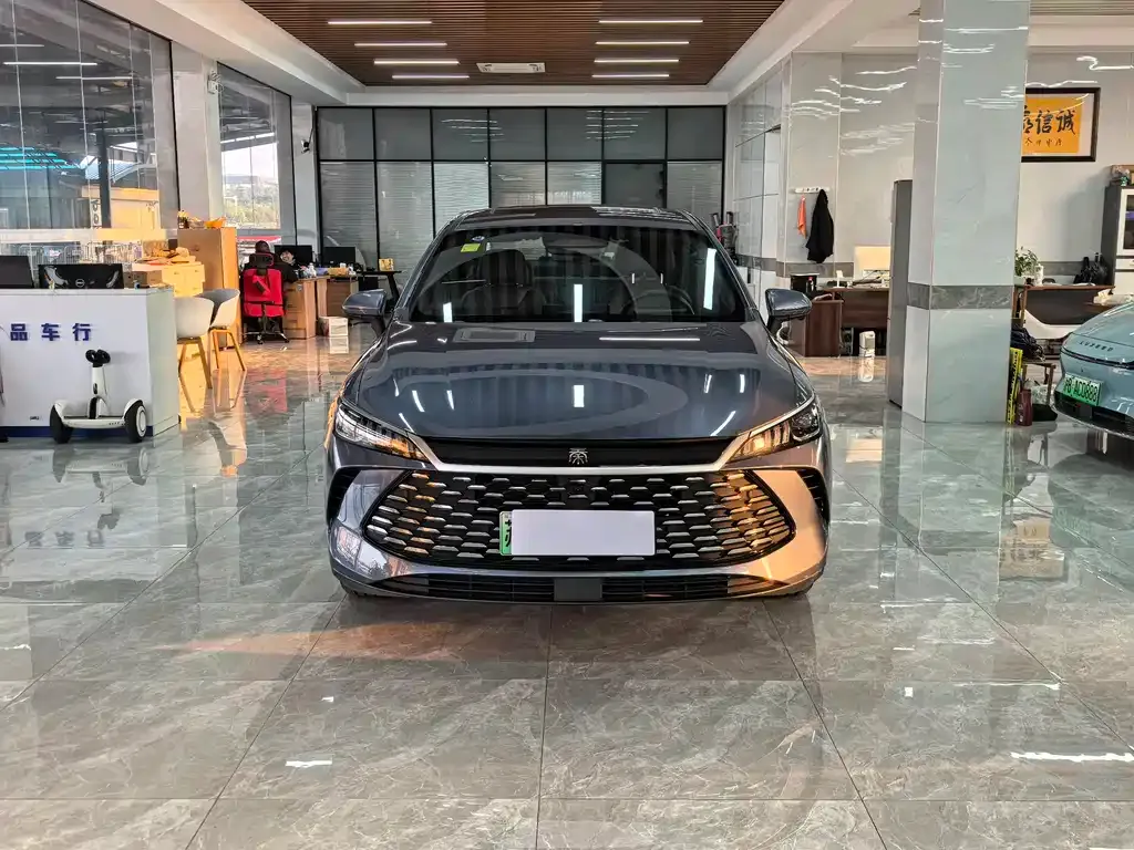 BYD Qin PLUS — фото 10