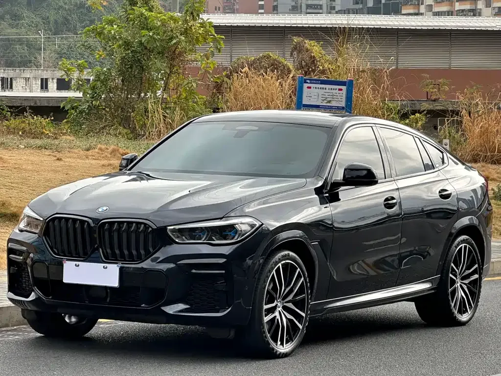 BMW X6 — фото 1